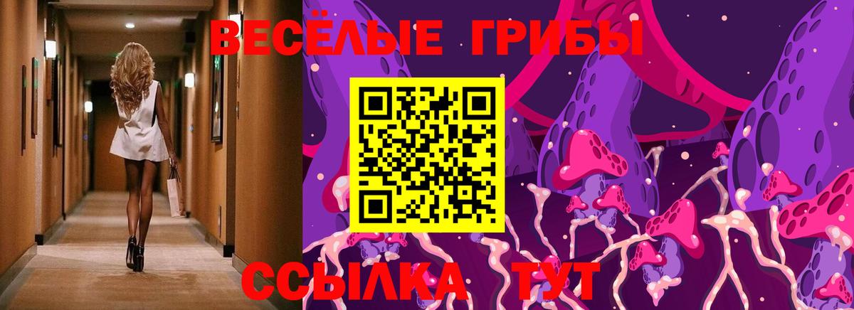 Сарапул  Галлюциногенные грибы Psilocybe  Вход с VPN 